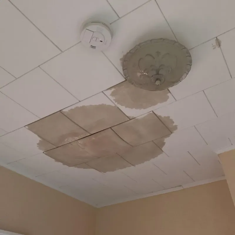 Ceiling Water Damage Repair in City of Falls Church, VA