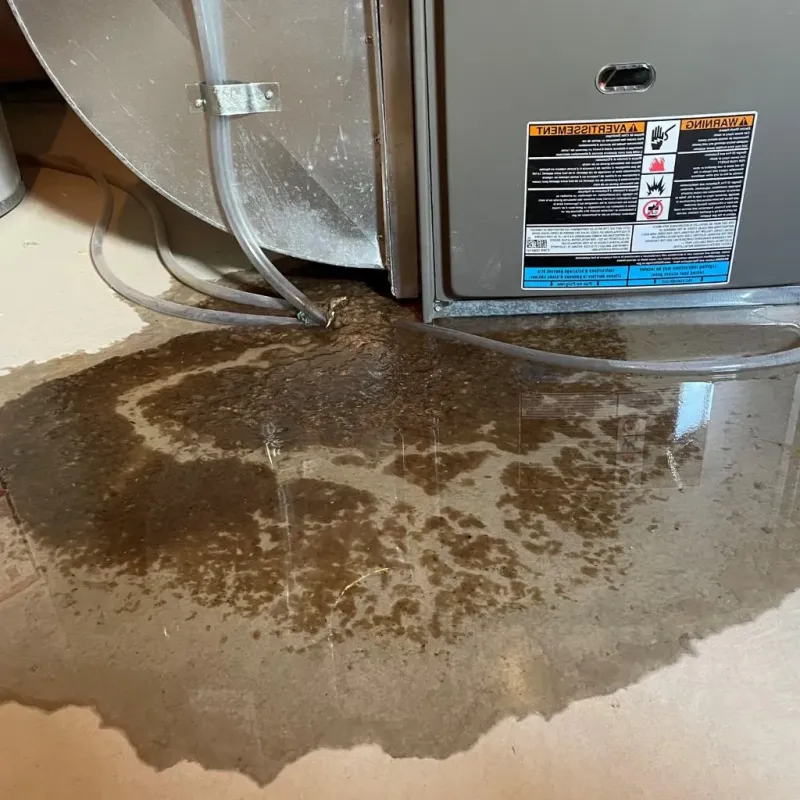 Pipe Burst and Leak Restoration in City of Falls Church, VA
